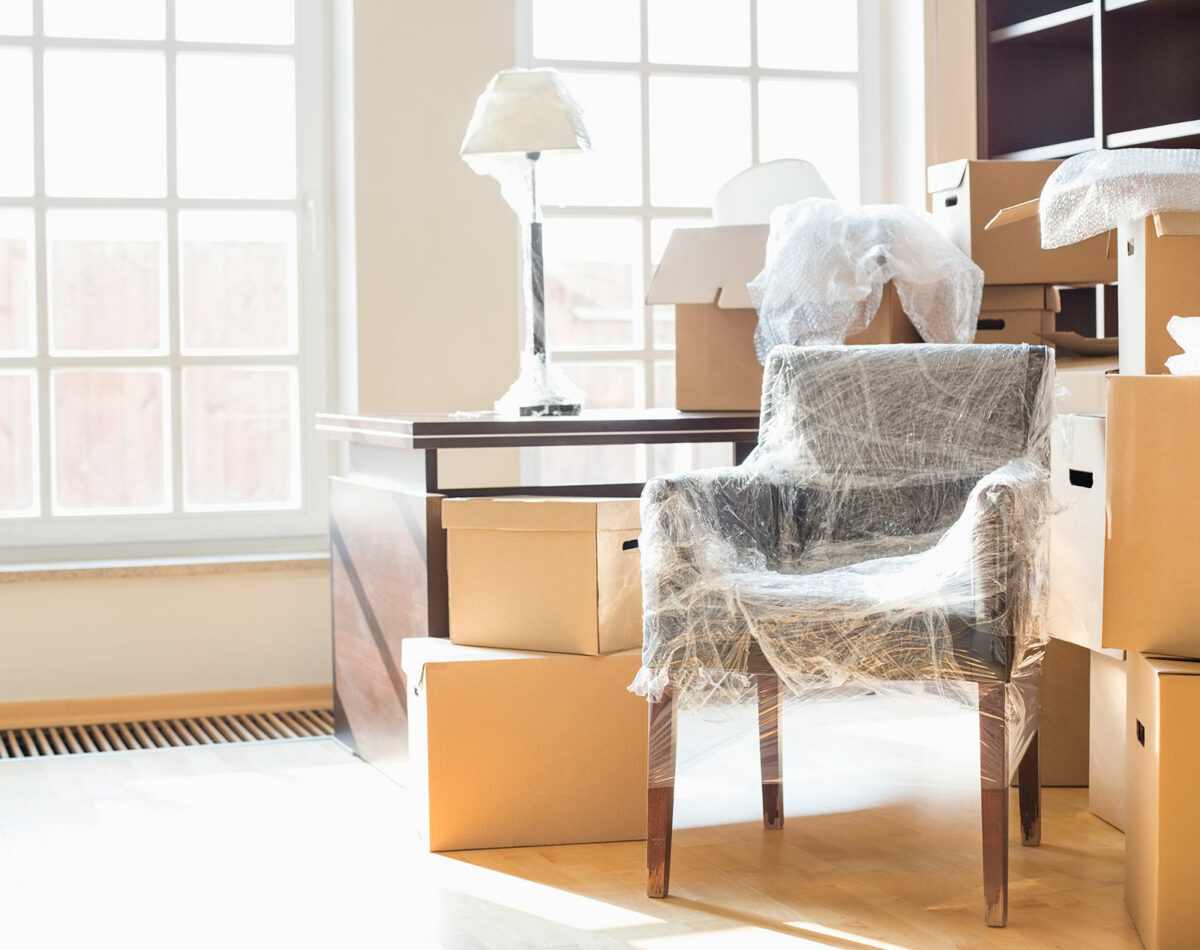 moveco-22 moveco-22