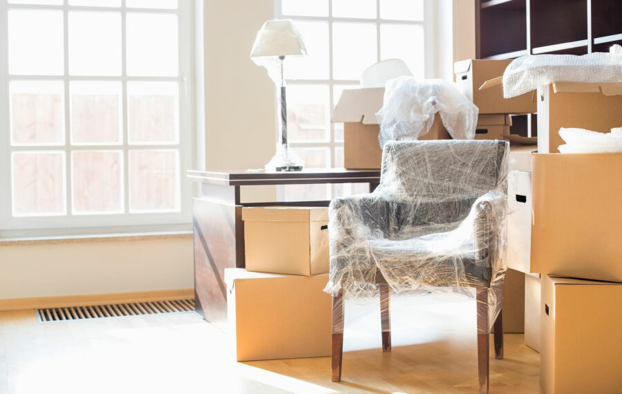 moveco-22 moveco-22
