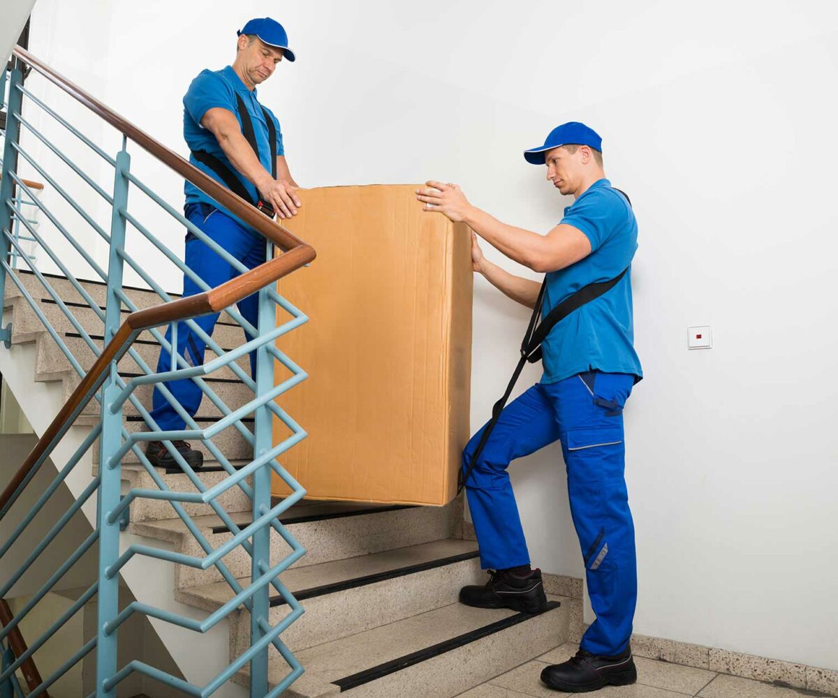 moveco-30 moveco-30
