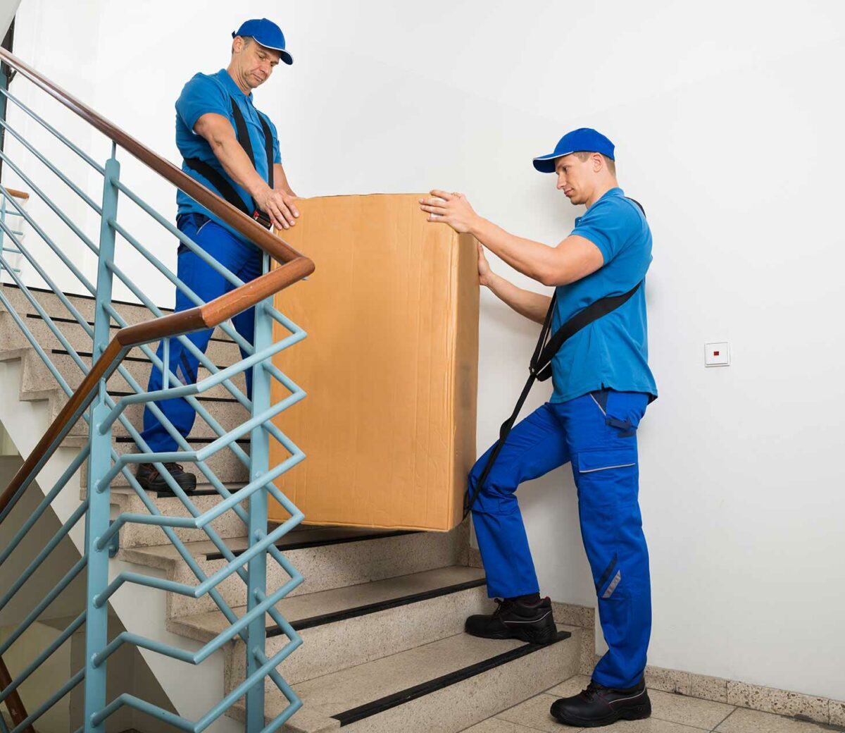 moveco-30 moveco-30