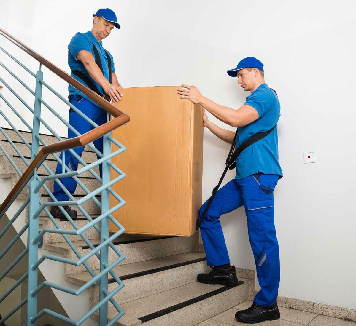 moveco-30 moveco-30