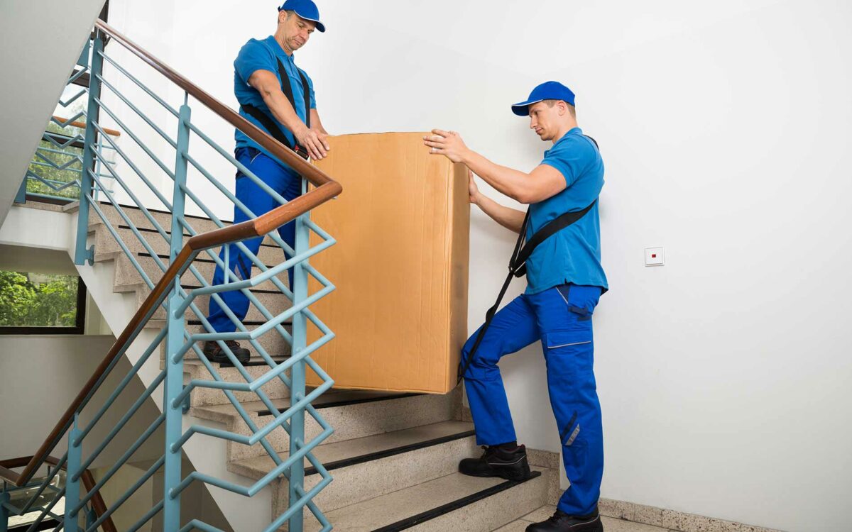 moveco-30 moveco-30