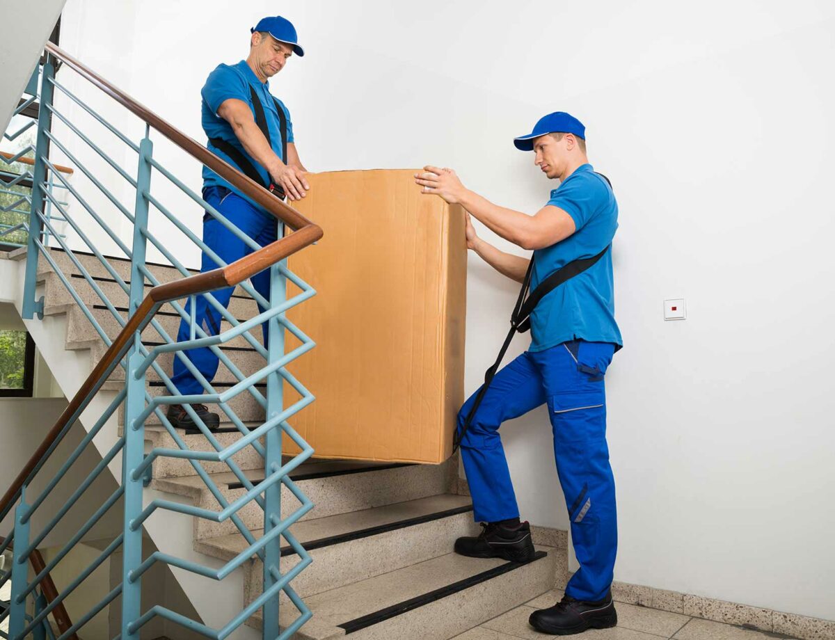 moveco-30 moveco-30