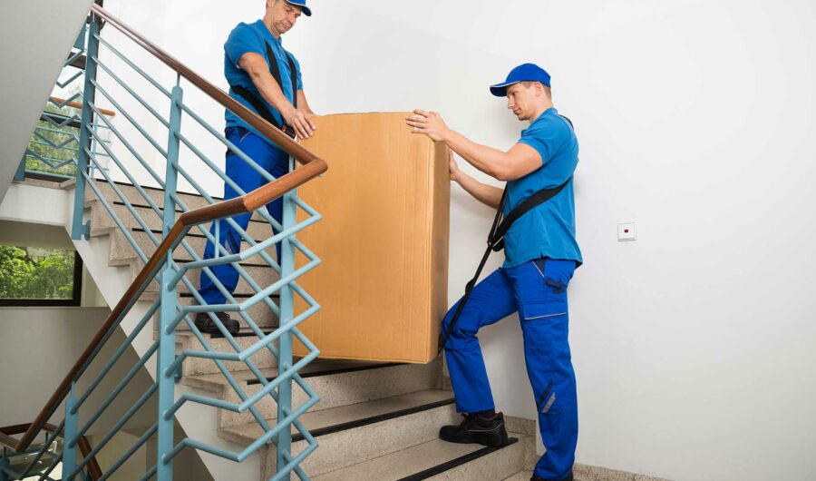 moveco-30 moveco-30