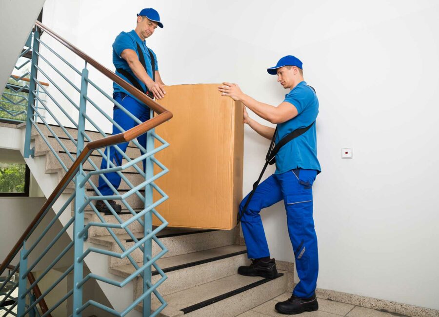 moveco-30 moveco-30