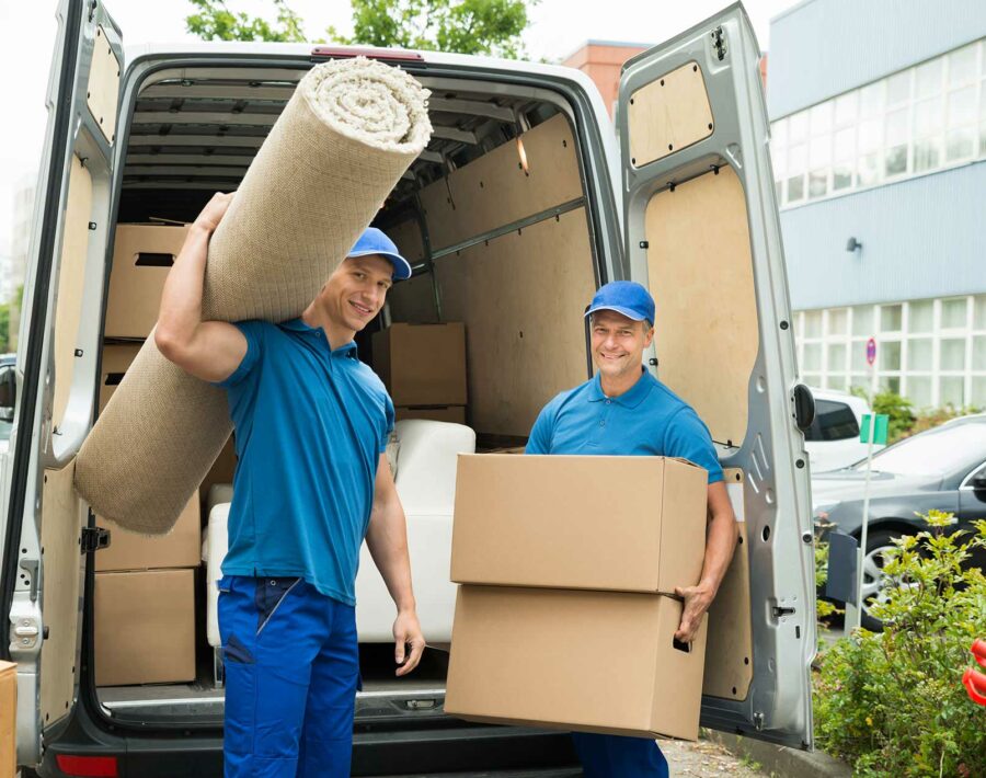 moveco-31 moveco-31