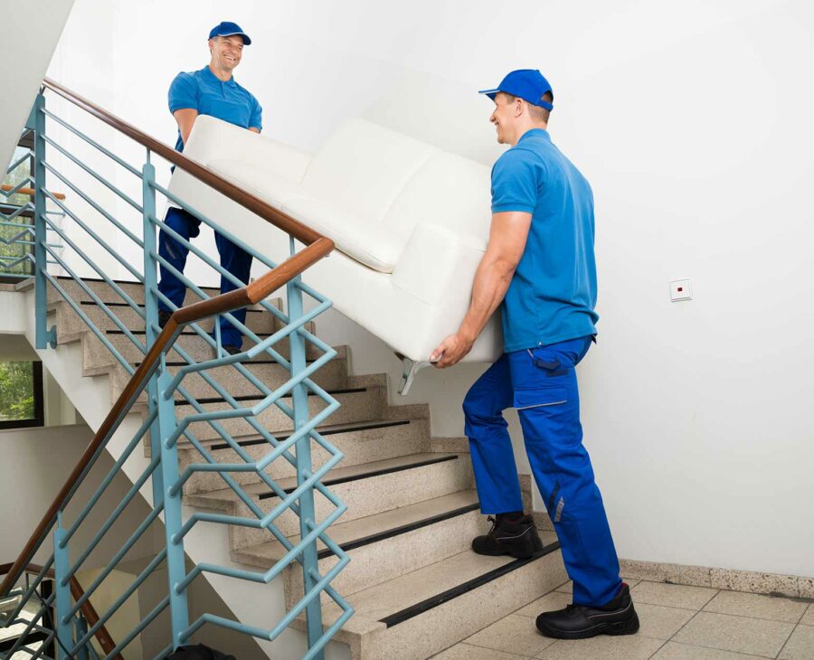moveco-32 moveco-32
