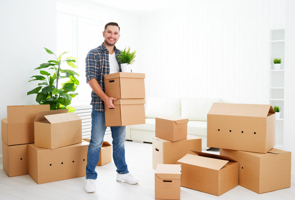 moveco-34 moveco-34