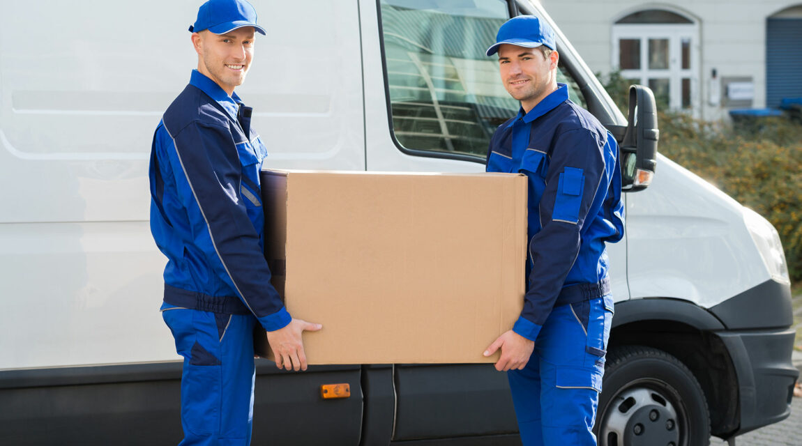 moveco-39 moveco-39