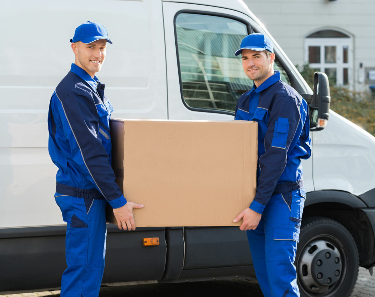 moveco-39 moveco-39