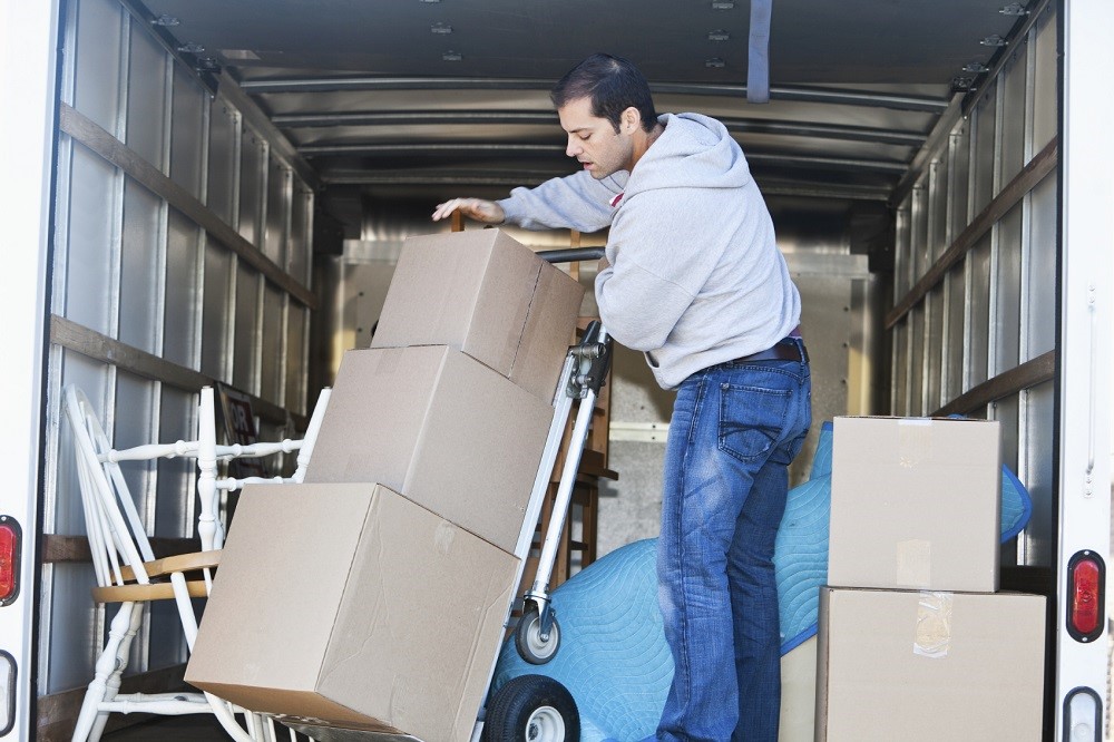 Mid adult man (30s) standing in moving truck, moving boxes.